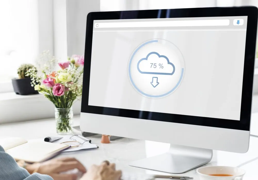 The Cloud Storage Data Information Concept